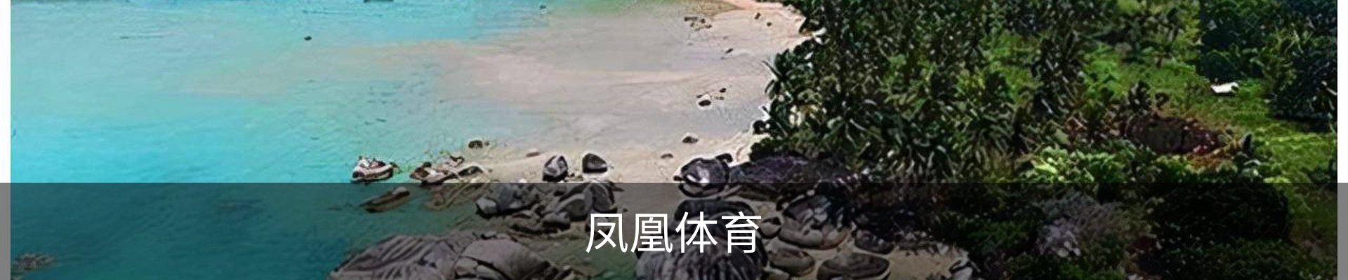 凤凰体育